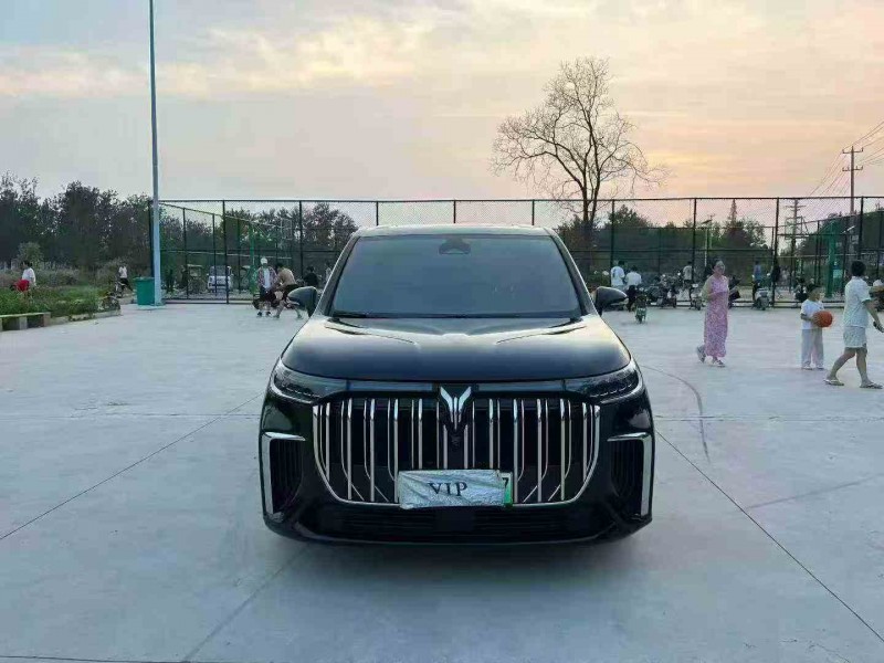 徐州24年嵐圖汽車夢想家1