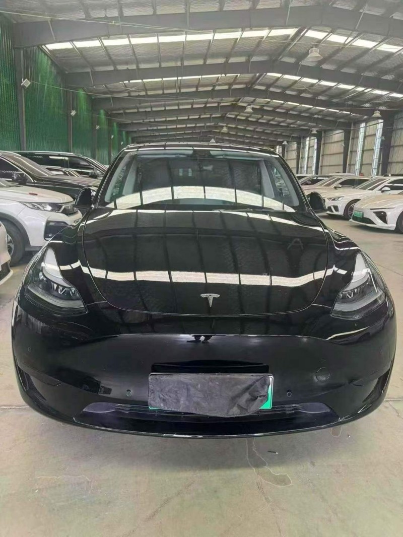 棗莊24年特斯拉MODEL Y1