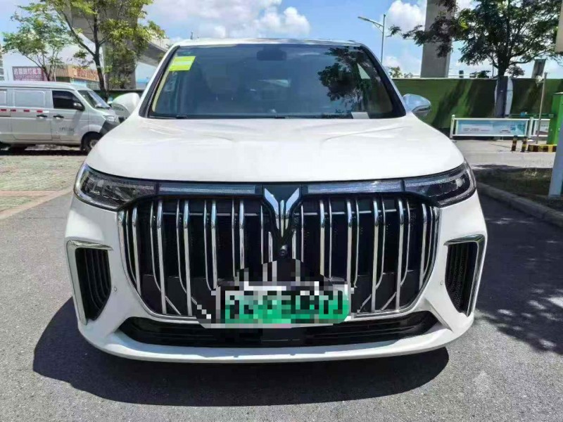 濰坊24年嵐圖汽車夢想家1