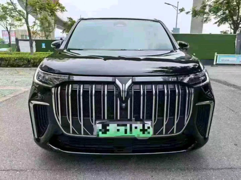 孝感23年嵐圖汽車夢想家1