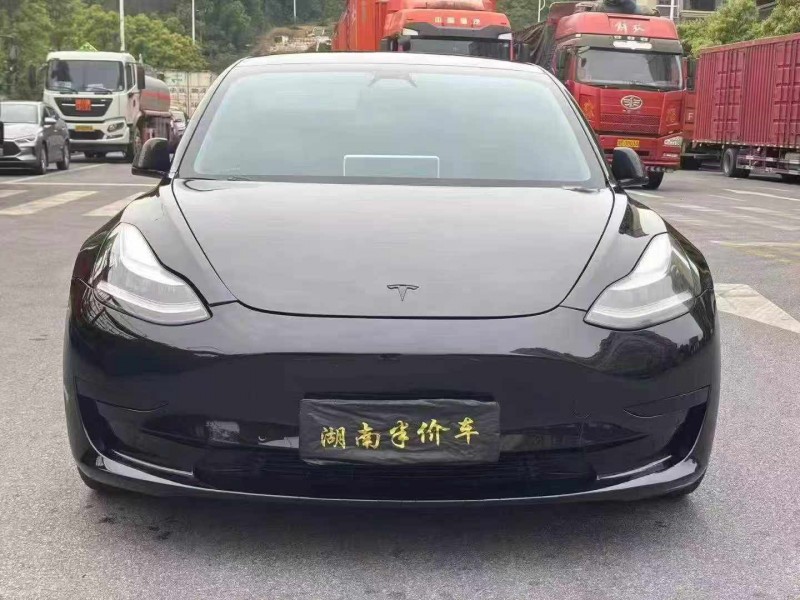 張家界20年特斯拉MODEL 31