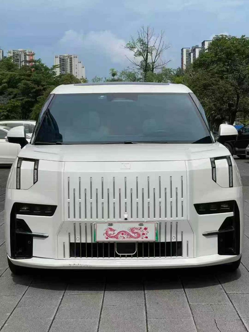 佛山23年極氪汽車0091