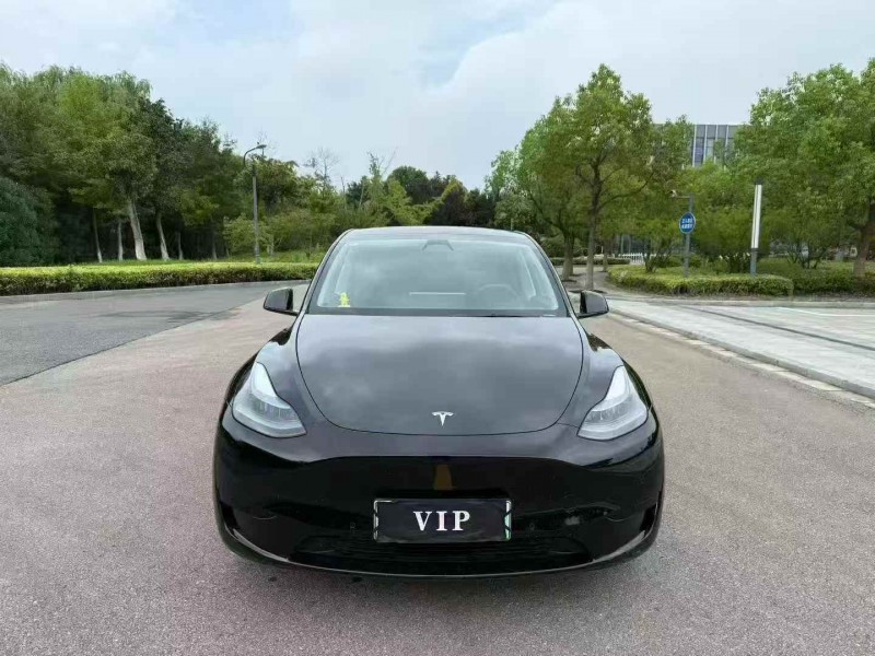 徐州23年特斯拉MODEL Y1
