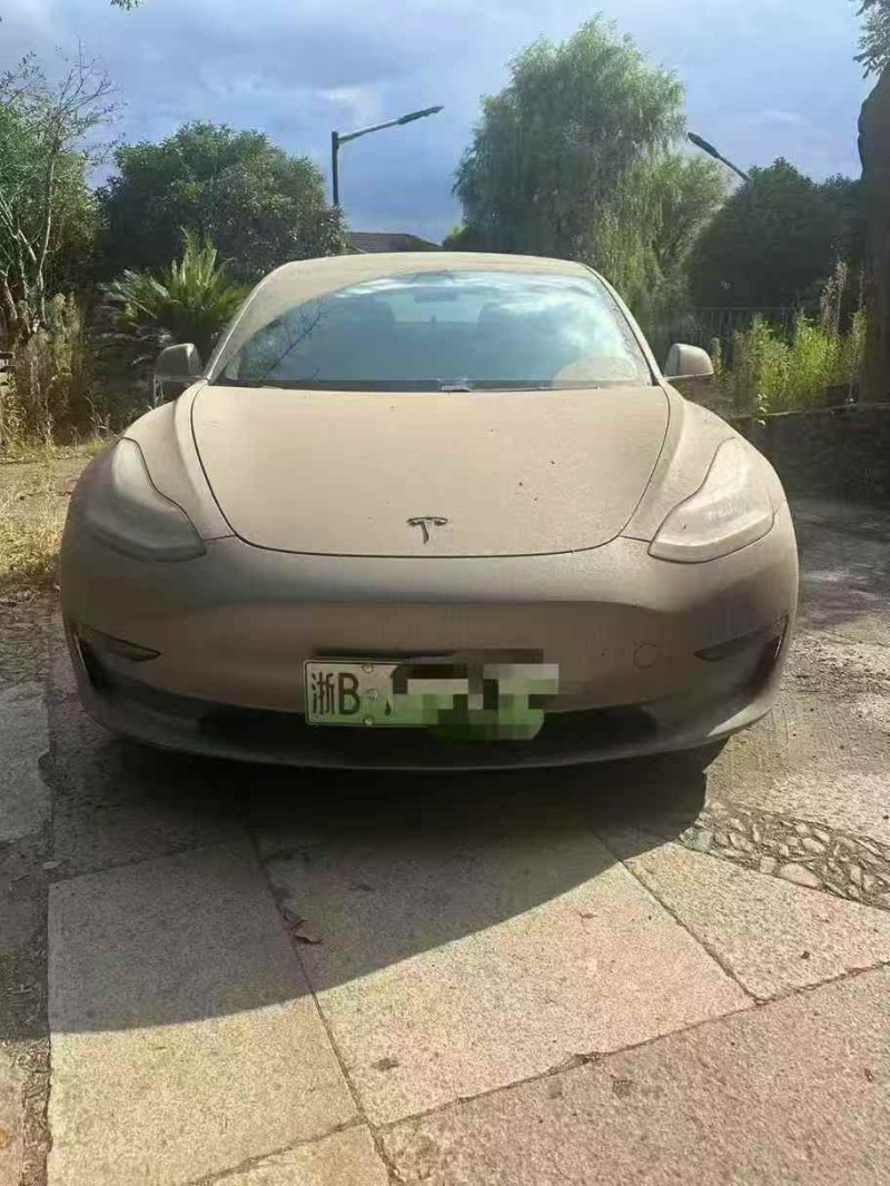寧波20年特斯拉MODEL 31