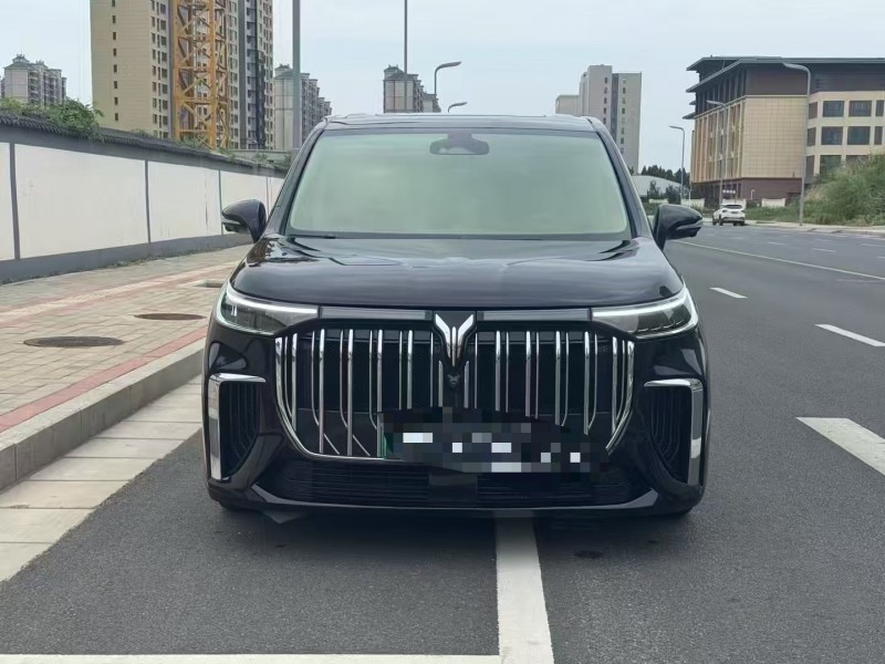 鄭州22年嵐圖汽車夢想家1