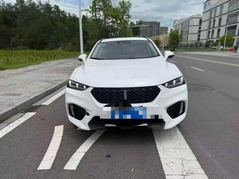 欽州18年長城汽車魏牌1