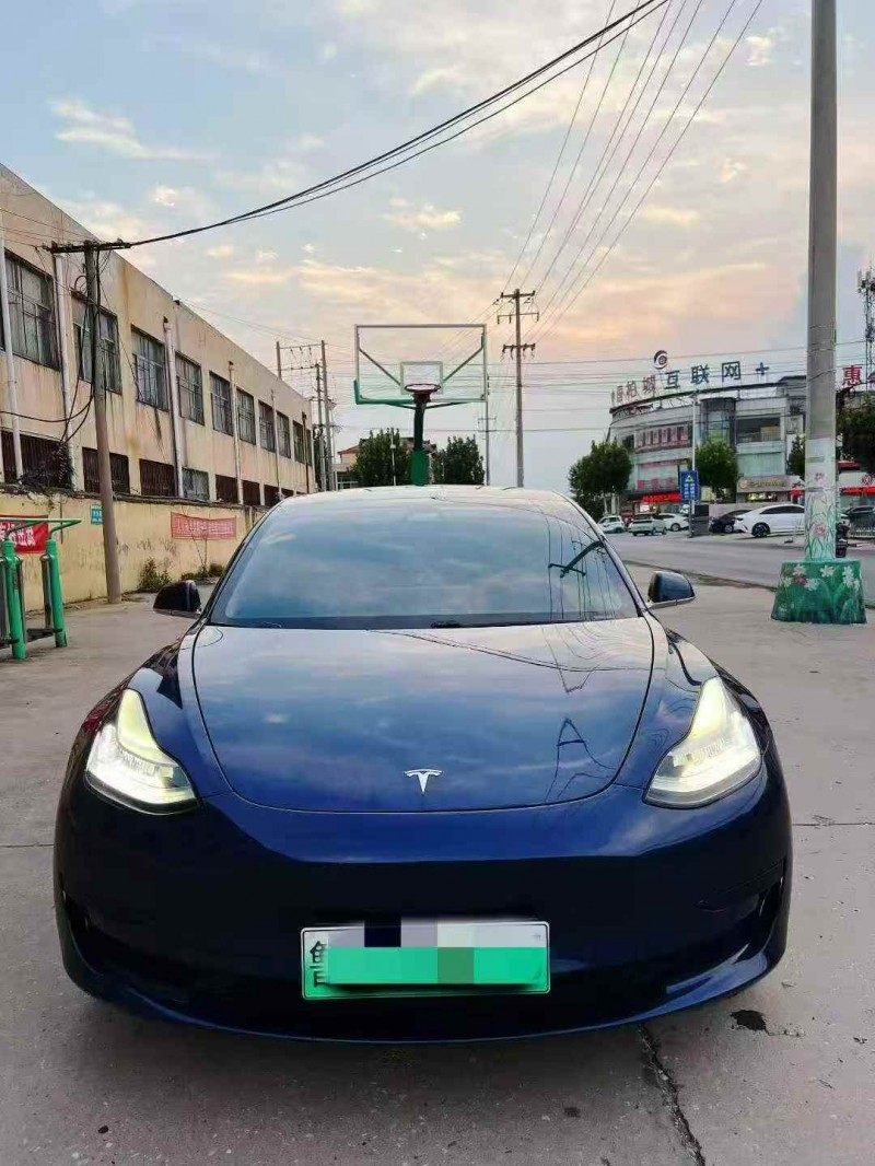 濰坊20年特斯拉MODEL 31