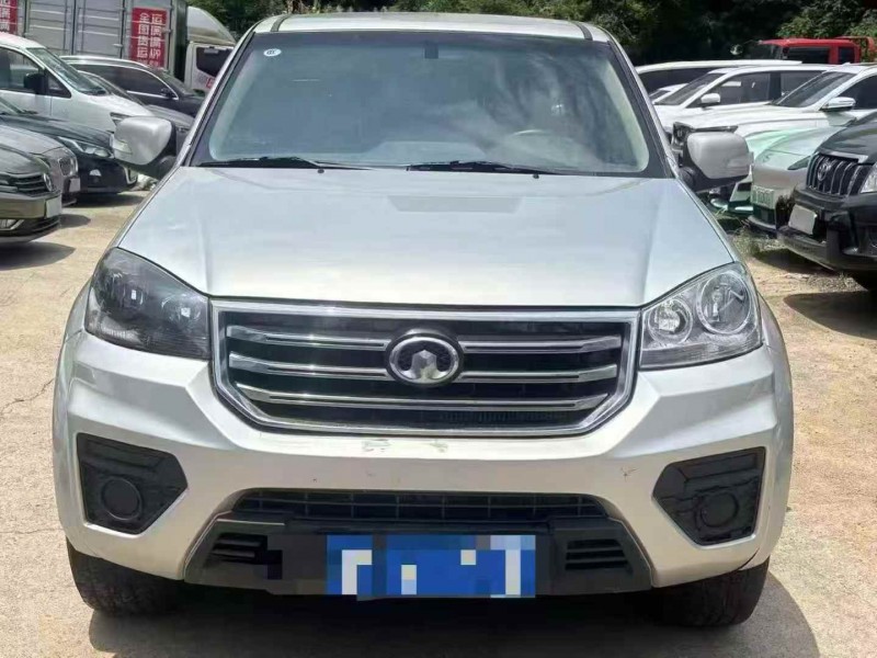湘潭20年長城汽車風駿1