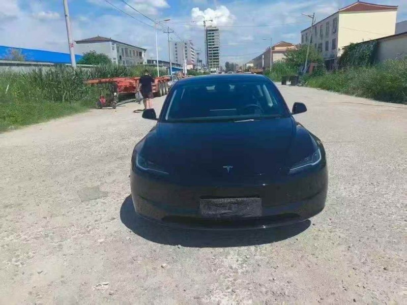淄博24年特斯拉MODEL 31
