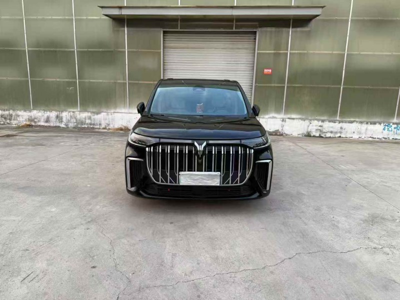 徐州24年嵐圖汽車夢想家1