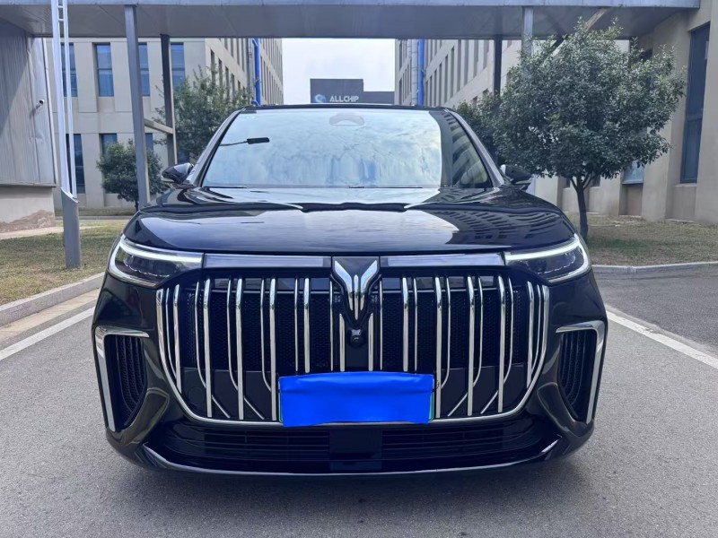 徐州24年嵐圖汽車夢想家1