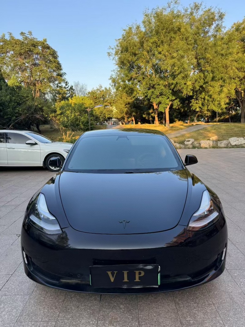 邢臺20年特斯拉MODEL 31