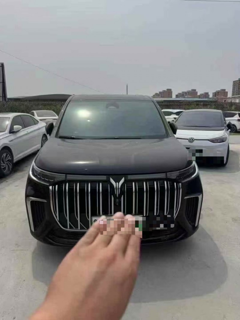 菏澤23年嵐圖汽車夢想家1
