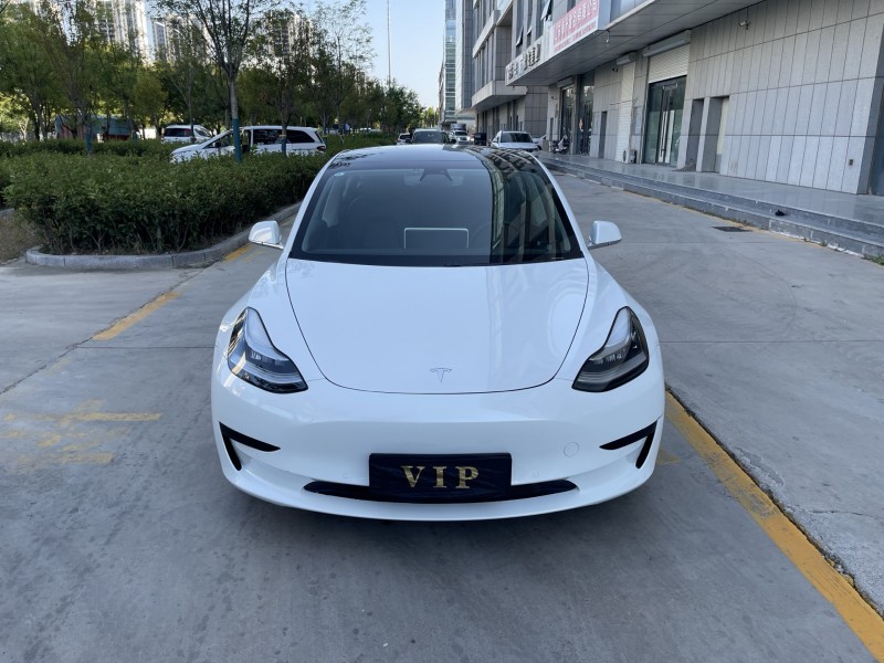 濟寧20年特斯拉MODEL 31