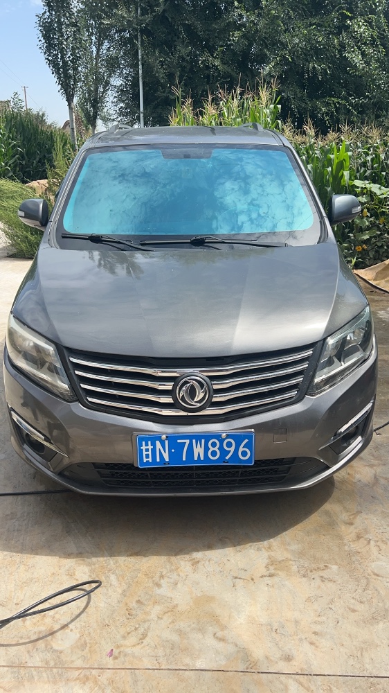 临夏16年东风风行2