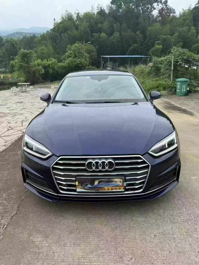 漳州19年奥迪A51