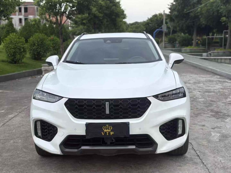 揭陽17年長城汽車WEY1