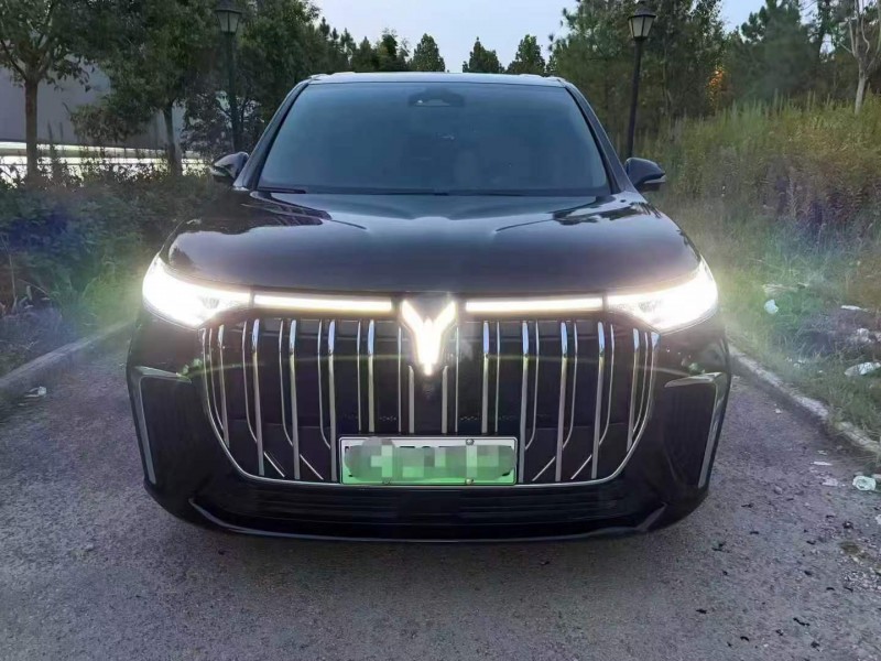 孝感23年嵐圖汽車夢想家1
