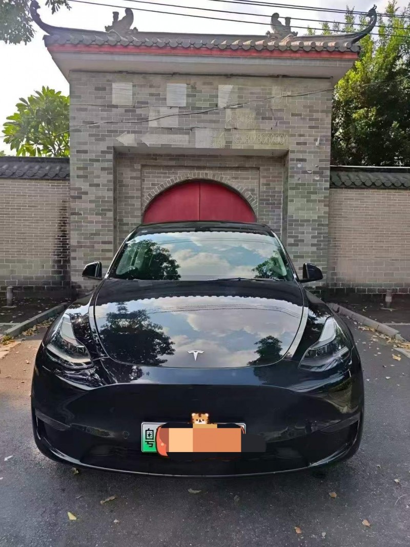肇慶21年特斯拉MODEL Y1