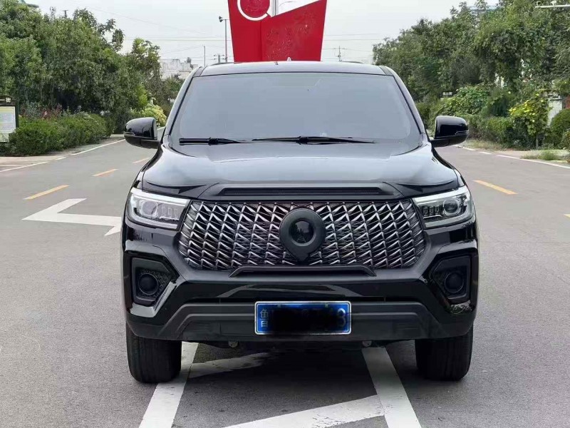 淄博25年長城汽車炮 皮卡1