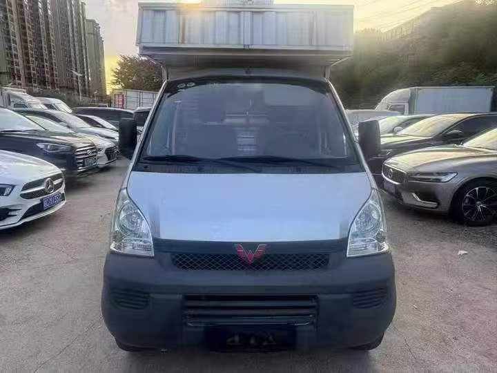株洲20年五菱汽車榮光1