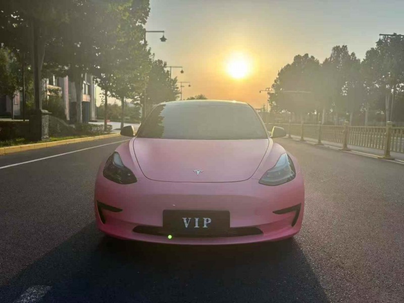 漢中22年特斯拉MODEL 31