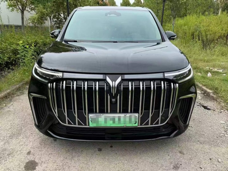 孝感23年嵐圖汽車夢想家1