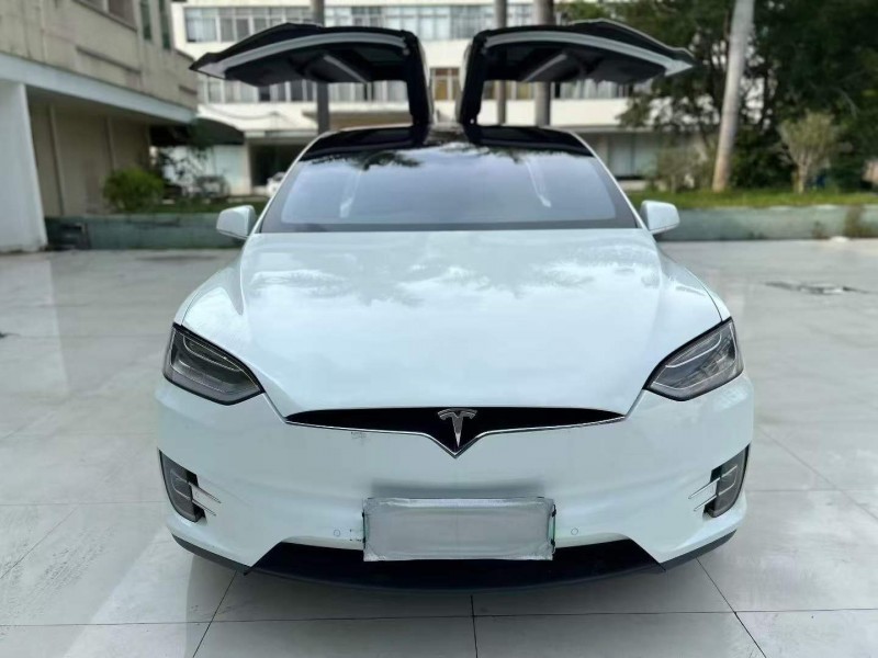廣州19年特斯拉MODEL X1