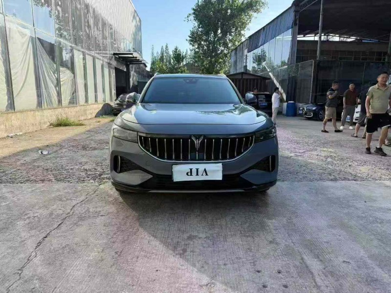 徐州21年嵐圖汽車FREE1