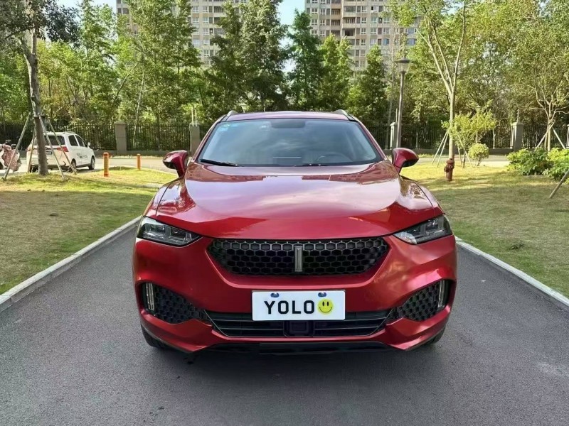 徐州17年長城汽車魏牌1