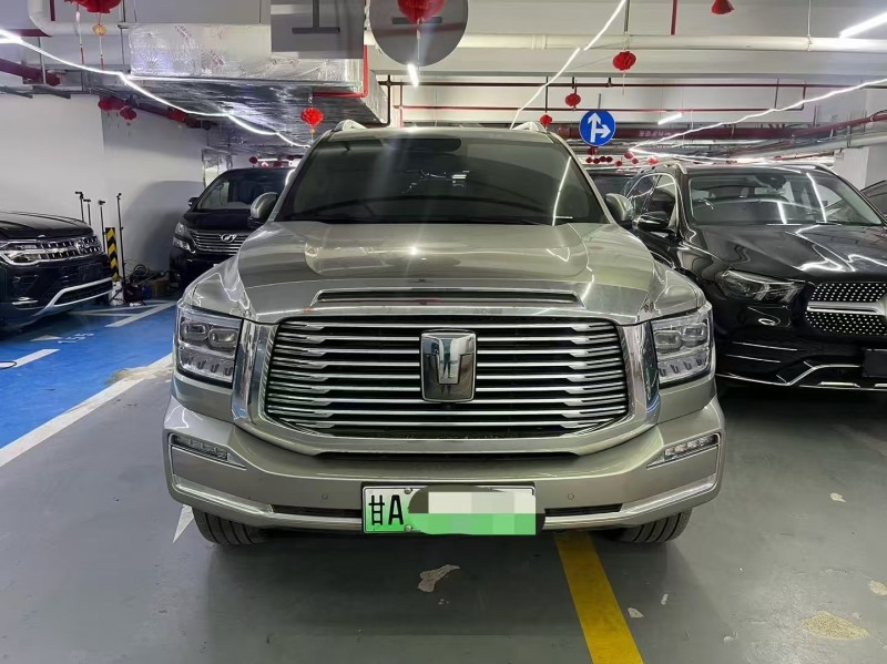 廣州24年長城汽車坦克1