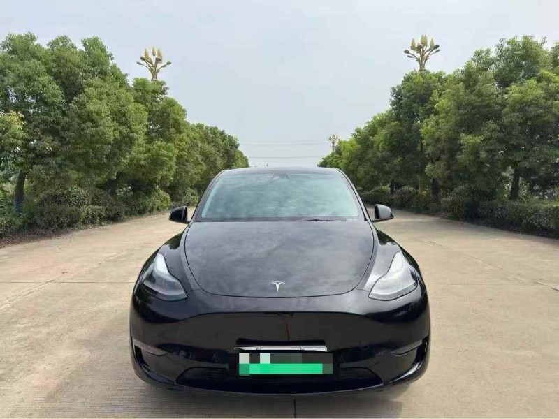 蘇州21年特斯拉MODEL Y1