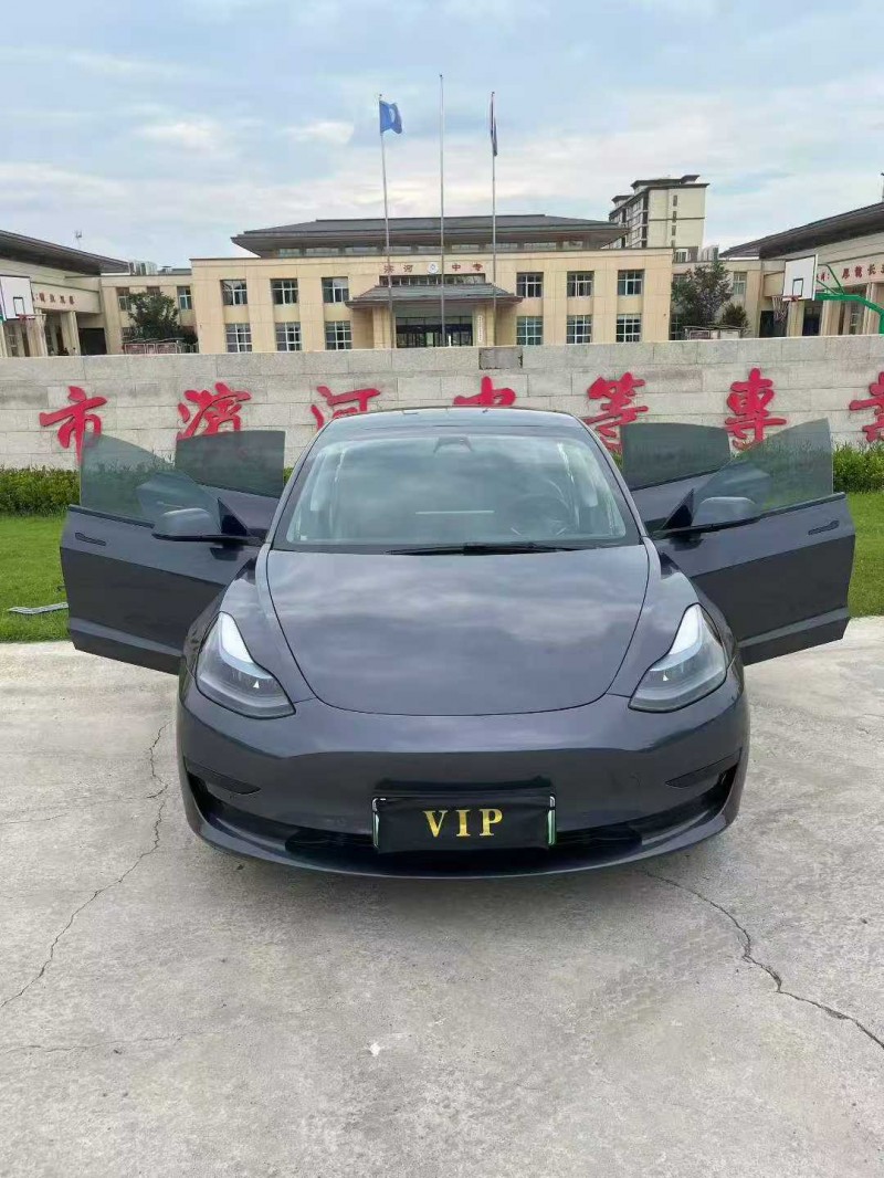 徐州21年特斯拉MODEL 31