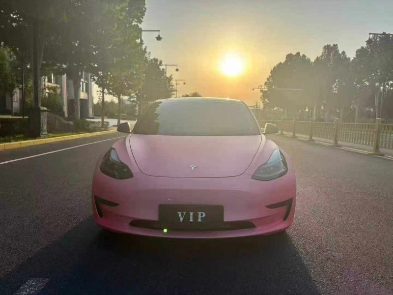 寶雞22年特斯拉MODEL 31