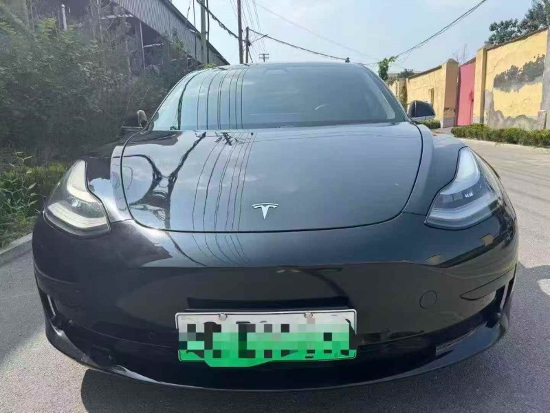 濰坊20年特斯拉MODEL 31