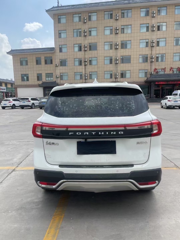 临夏19年东风风行8