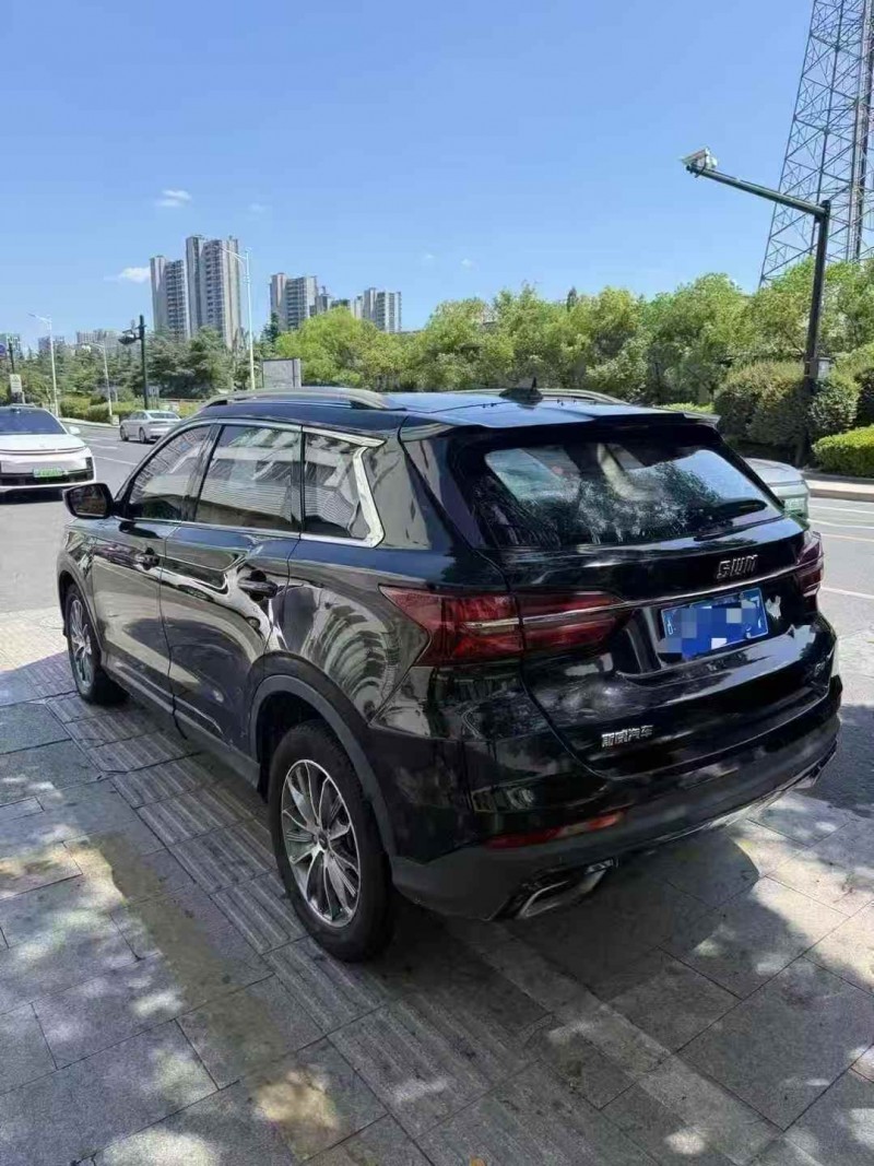 湖州19年SWM斯威汽车G017