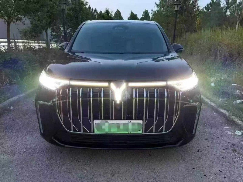 荊門23年嵐圖汽車夢想家1