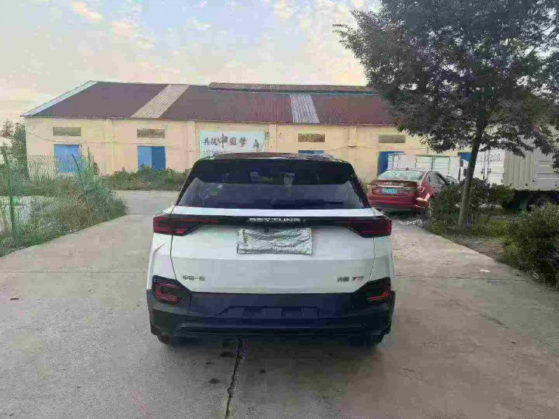 徐州20年奔腾T779