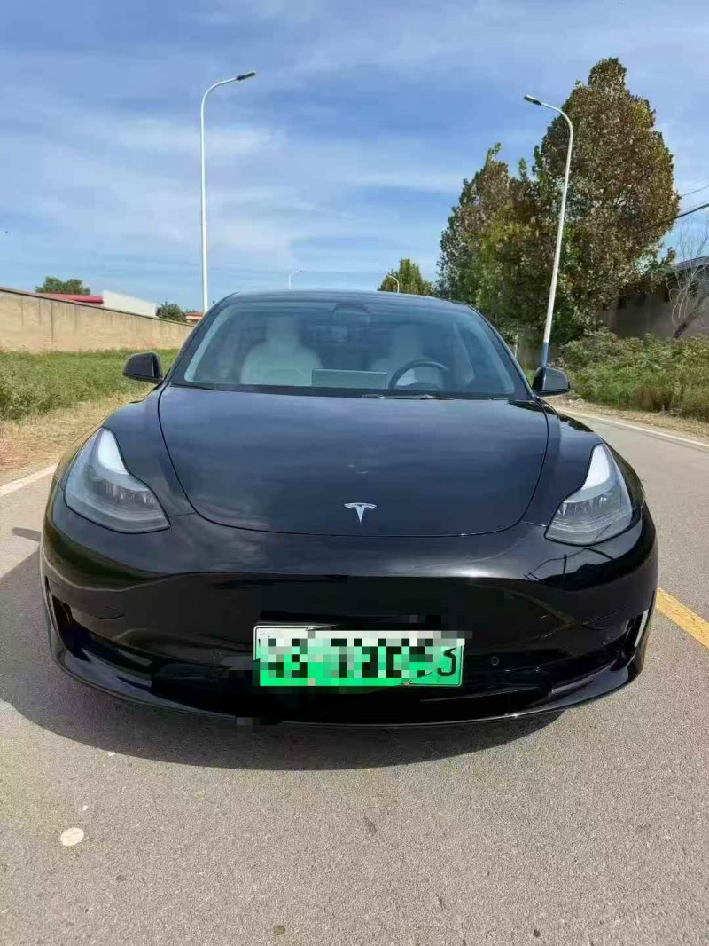保定22年特斯拉MODEL 31