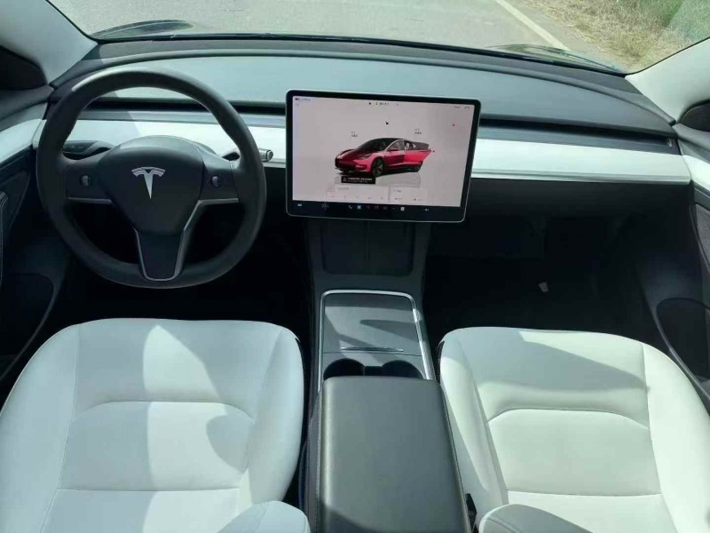 保定22年特斯拉MODEL 34