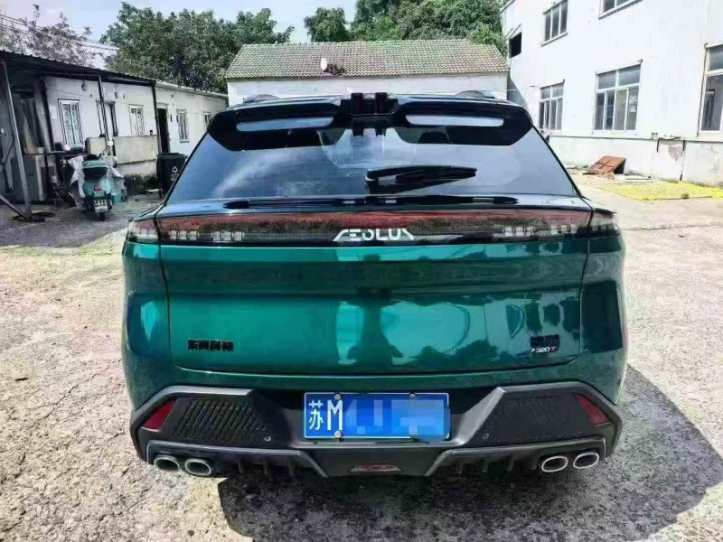 徐州24年东风风神9