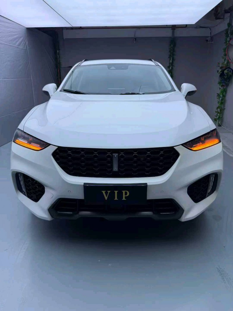 惠州18年长城汽车WEY1