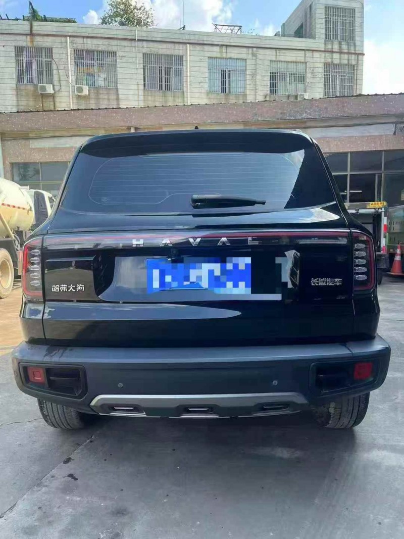 南通23年哈弗大狗9