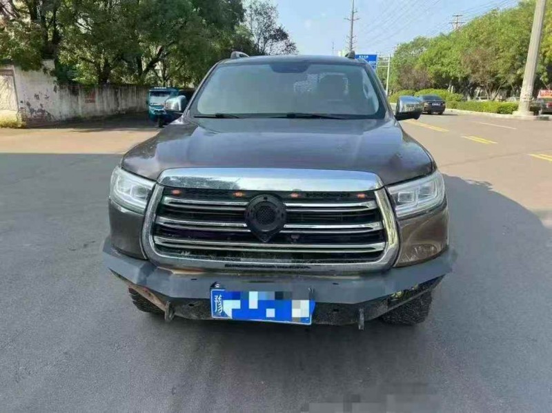 平顶山21年长城汽车炮 皮卡1