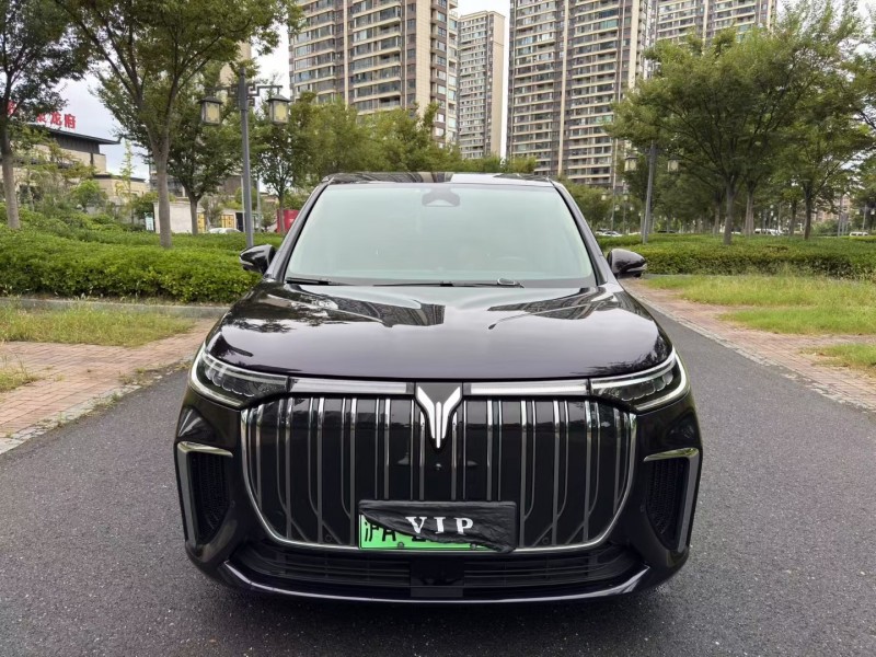 鹽城24年嵐圖汽車夢想家1
