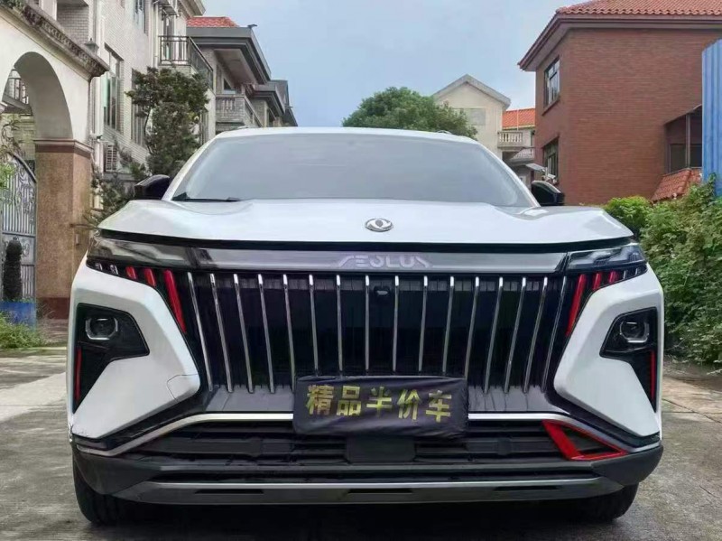 东莞23年东风风神1