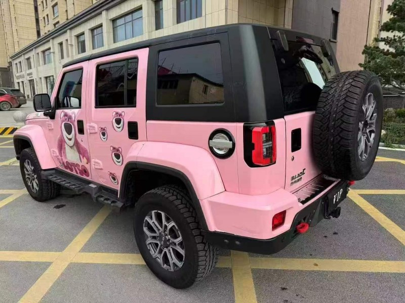 张家口24年北京BJ408