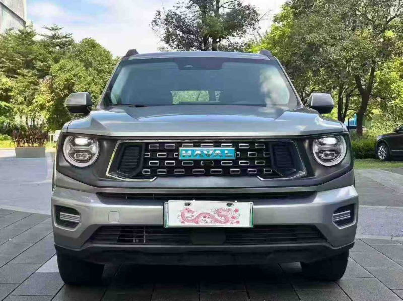 湛江23年哈弗大狗1