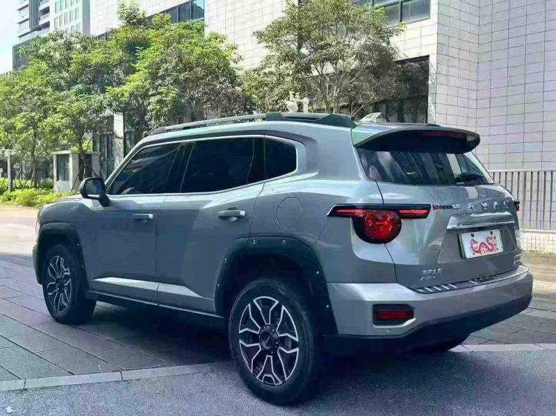 湛江23年哈弗大狗8